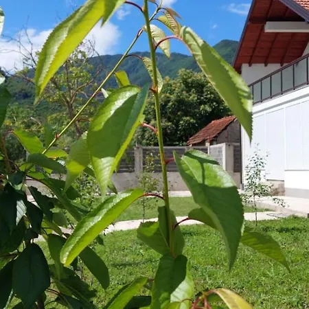 Meem Villa